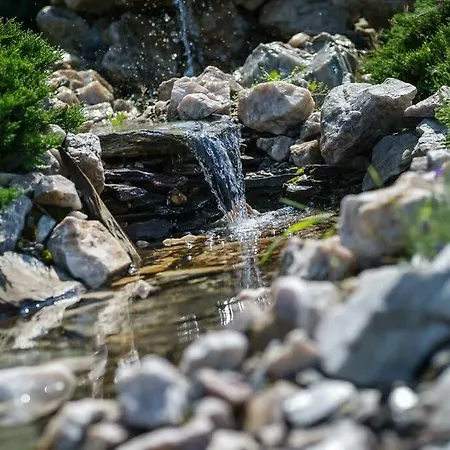 Bialy Dom Henlex Restauracja 3*