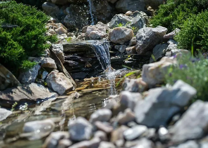 Bialy Dom Henlex Restauracja 3*